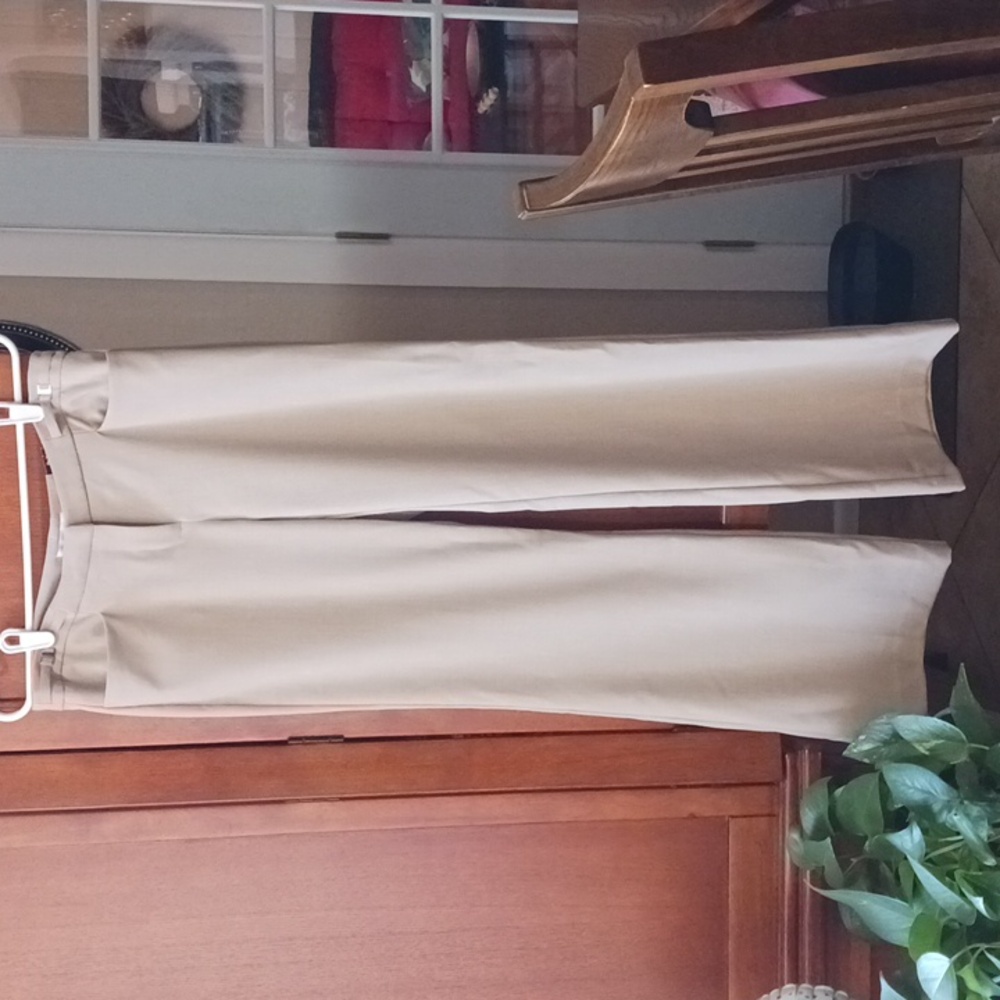 NWT- New York & Company Tan Stretch Pants
